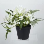 productHero-SPOTWF-BP80688743-white