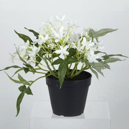 productHero-SPOTWF-BP80688743-white