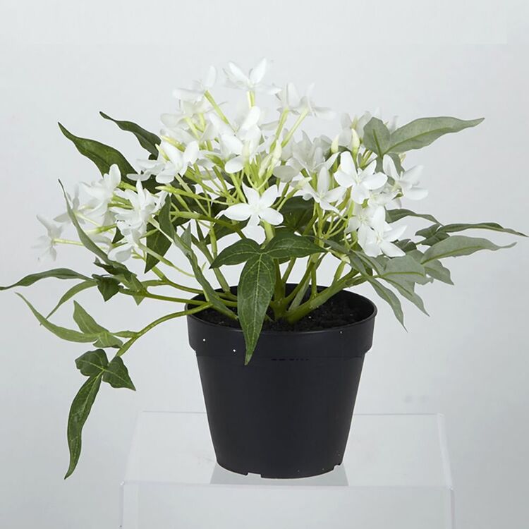 productHero-SPOTWF-BP80688743-white productHero-SPOTWF-BP80688743-white