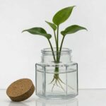 productHero-SPOTWF-BP80688748-clear-4