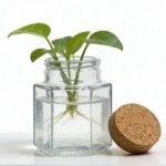 productHero-SPOTWF-BP80688748-clear-7