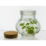 productHero-SPOTWF-BP80688749-clear-6