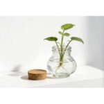 productHero-SPOTWF-BP80688749-clear-8