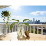 productHero-SPOTWF-BP80688790-clear-5