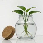 productHero-SPOTWF-BP80688790-clear-6
