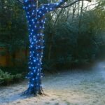productHero-SPOTWF-BP80689536-blue-3