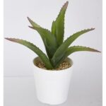 productHero-SPOTWF-BP80690093-green