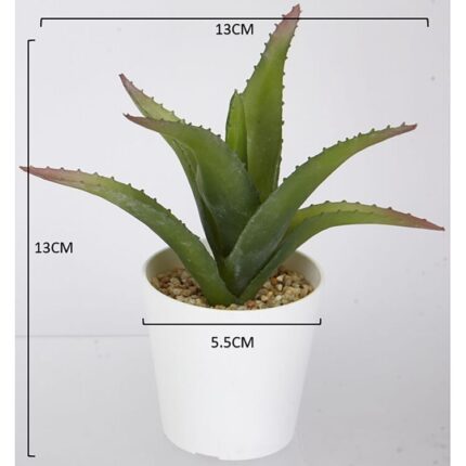 productHero-SPOTWF-BP80690093-green-2