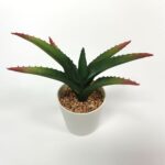 productHero-SPOTWF-BP80690093-green-4
