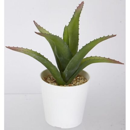 productHero-SPOTWF-BP80690093-green