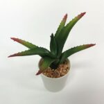 productHero-SPOTWF-BP80690093-green-5