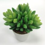 productHero-SPOTWF-BP80690101-green