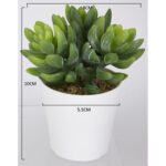 productHero-SPOTWF-BP80690101-green-2