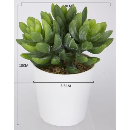 productHero-SPOTWF-BP80690101-green-2