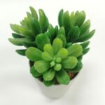 productHero-SPOTWF-BP80690101-green-3
