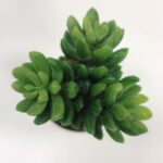 productHero-SPOTWF-BP80690101-green-4