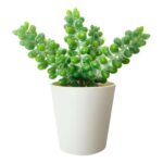 productHero-SPOTWF-BP80690106-green