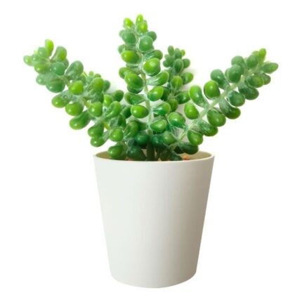 productHero-SPOTWF-BP80690106-green
