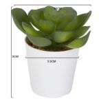 productHero-SPOTWF-BP80690107-green-3