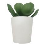 productHero-SPOTWF-BP80690107-green-4