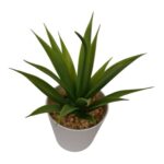 productHero-SPOTWF-BP80690108-green-3