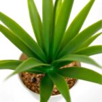 productHero-SPOTWF-BP80690108-green-4