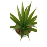 productHero-SPOTWF-BP80690108-green-5