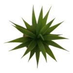 productHero-SPOTWF-BP80690108-green-6