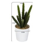 productHero-SPOTWF-BP80690109-green-2