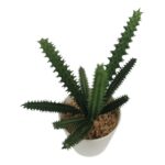 productHero-SPOTWF-BP80690109-green-3