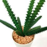productHero-SPOTWF-BP80690109-green-4