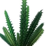 productHero-SPOTWF-BP80690109-green-6