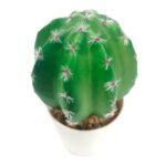 productHero-SPOTWF-BP80690120-green