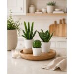 productHero-SPOTWF-BP80690120-green-4