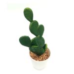 productHero-SPOTWF-BP80690121-green
