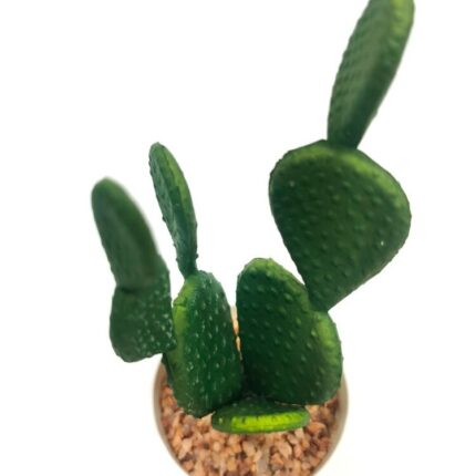 productHero-SPOTWF-BP80690121-green-2