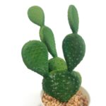 productHero-SPOTWF-BP80690121-green-3