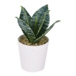 productHero-SPOTWF-BP80690122-green