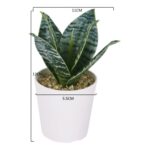 productHero-SPOTWF-BP80690122-green-2