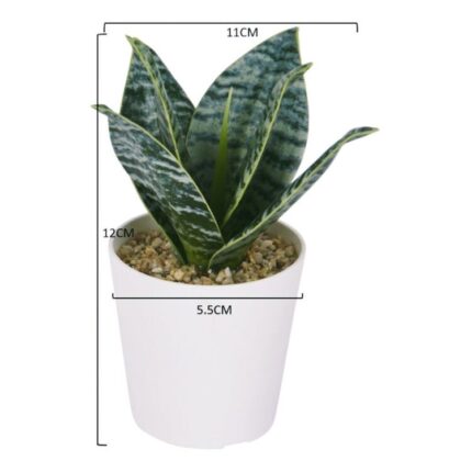 productHero-SPOTWF-BP80690122-green-2