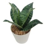 productHero-SPOTWF-BP80690122-green-3