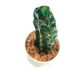 productHero-SPOTWF-BP80690123-green-3