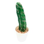 productHero-SPOTWF-BP80690123-green-4
