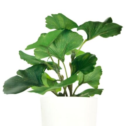 productHero-SPOTWF-BP80690126-green-2