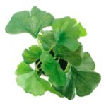 productHero-SPOTWF-BP80690126-green-4