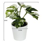 productHero-SPOTWF-BP80690127-green-3