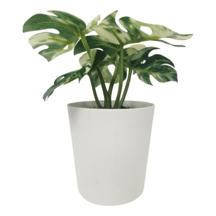 productHero-SPOTWF-BP80690127-green