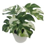 productHero-SPOTWF-BP80690127-green-5