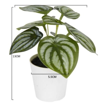 productHero-SPOTWF-BP80690128-green-2