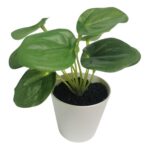 productHero-SPOTWF-BP80690130-green